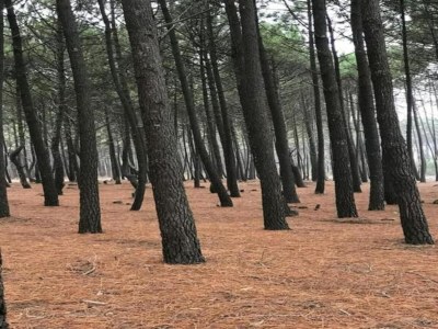 Villa Villa in Malaucène near Mount Ventoux - Environment photo 39