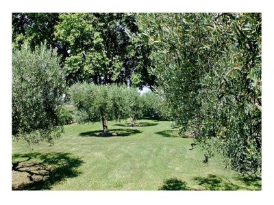 Holiday house Ferienhaus in Lacoste mit Pool - Environment photo 30