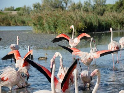Holiday house Ferienhaus in Lacoste mit Pool - Environment photo 35