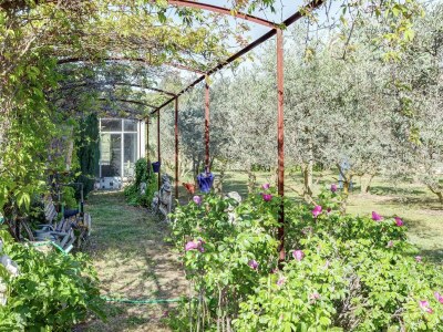 Holiday house Cottage in Oppède with Pool and Garden - Outdoor photo 9