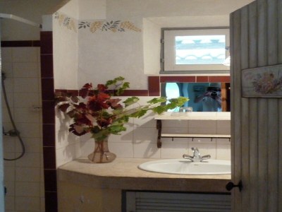 Holiday house Cottage in Oppède with Pool and Garden - Features photo 21