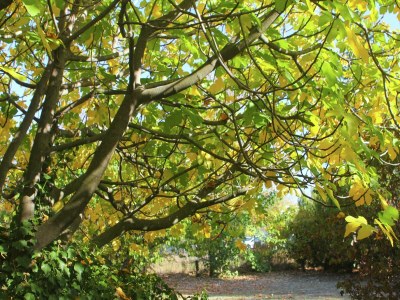 Villa Villa in Provence mit Pool und Stadtnähe - Outdoor photo 3