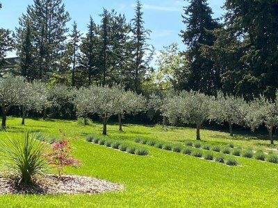 Villa Villa in Provence mit Pool und Stadtnähe - Features photo 13