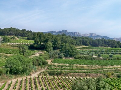 Villa Villa in Provence mit Pool und Stadtnähe - Environment photo 23