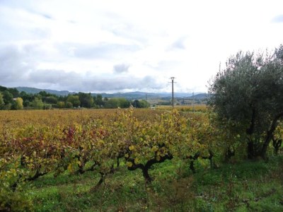 Villa Villa in Provence mit Pool und Stadtnähe - Environment photo 33