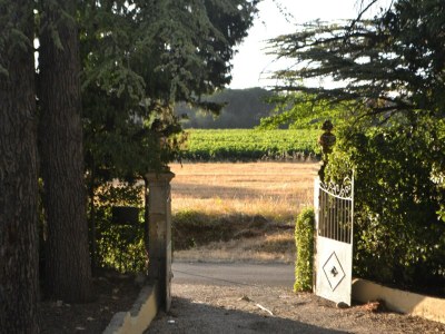 Villa Landhaus in der Provence mit Garten - Outdoor photo 10