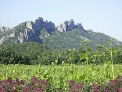 Villa Landhaus in der Provence mit Garten - Environment photo 28
