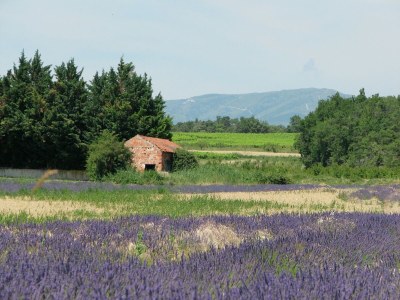 Villa Landhaus in der Provence mit Garten - Environment photo 33