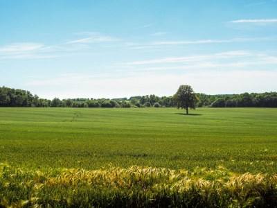 Holiday house Holiday Home Saint-Laurent Pool & Garden - Environment photo 29