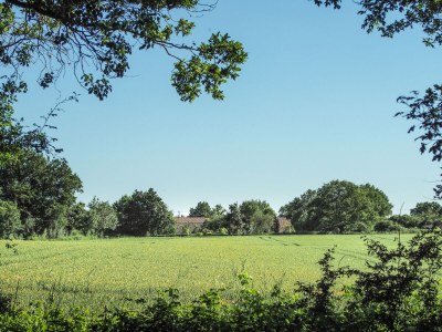 Holiday house Holiday Home Saint-Laurent Pool & Garden - Environment photo 31