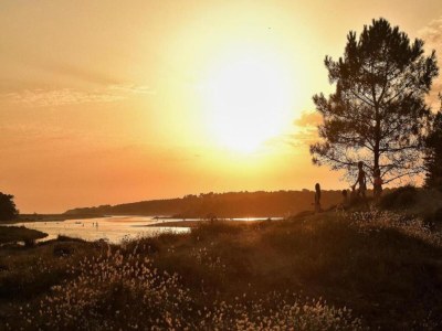 Holiday house Ferienhaus in Avrillé nahe Sandstränden - Environment photo 20