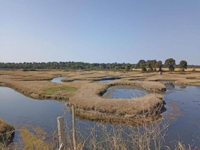 Holiday house Ferienhaus in Avrillé nahe Sandstränden - Environment photo 22