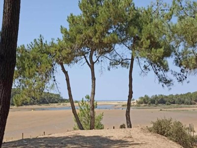 Holiday house Ferienhaus in Avrillé nahe Sandstränden - Environment photo 34