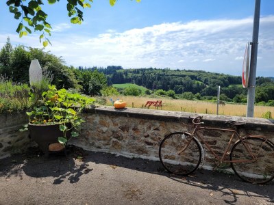 Holiday house Holiday Home in Limousin near Forest - Outdoor photo 7