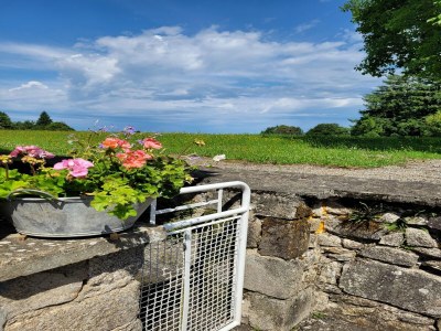 Holiday house Holiday Home in Limousin near Forest - Environment photo 21