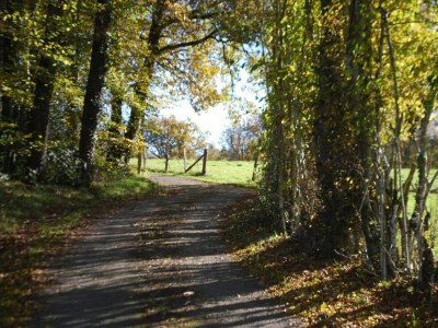 Holiday house Holiday Home in Limousin near Forest - Environment photo 22