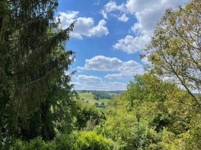 Holiday house Holiday Home in Limousin near Forest - Environment photo 28