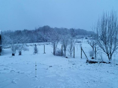 Holiday house Holiday Home in Limousin near Forest - Environment photo 29