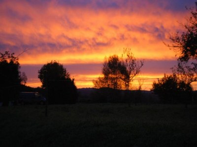 Holiday house Holiday Home in Limousin near Forest - Environment photo 30