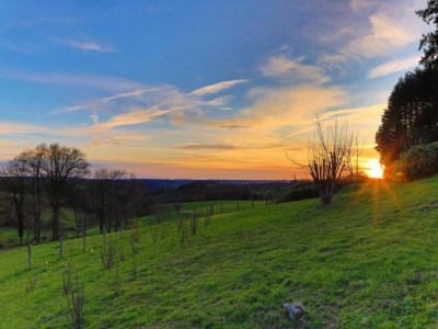 Holiday house Holiday Home in Limousin near Forest - Environment photo 31