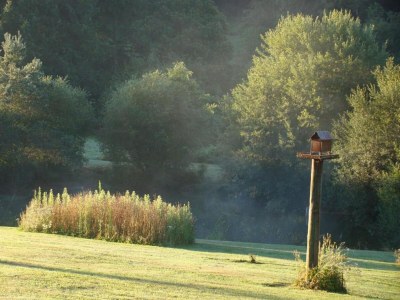Holiday house Holiday Home in Limousin near Forest - Environment photo 34