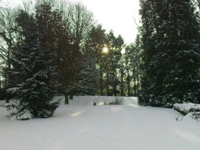 Holiday house Holiday Home in Limousin near Forest - Environment photo 36