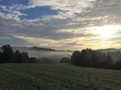 Holiday house Holiday Home in Limousin near Forest - Environment photo 37