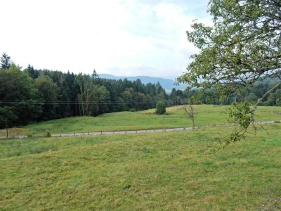 Holiday house Holiday Home Vagney near Ski Gérardmer - Outdoor photo 10