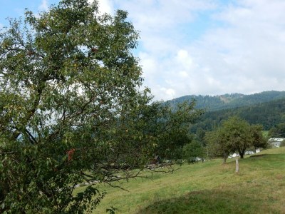 Holiday house Holiday Home Vagney near Ski Gérardmer - Outdoor photo 17
