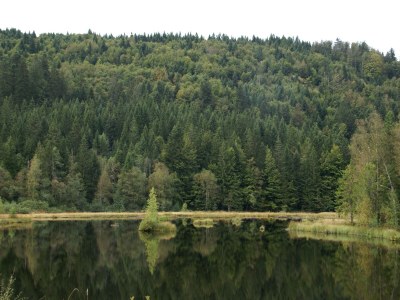 Holiday house Holiday Home Vagney near Ski Gérardmer - Environment photo 30