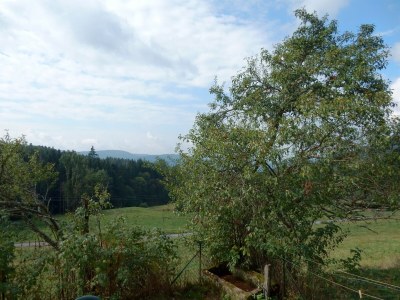 Holiday house Holiday Home Vagney near Ski Gérardmer - Environment photo 31