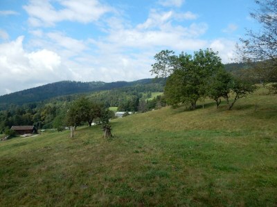 Holiday house Holiday Home Vagney near Ski Gérardmer - Environment photo 34