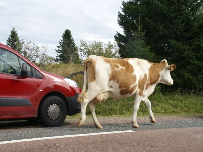 Holiday house Holiday Home Vagney near Ski Gérardmer - Outdoor photo 38