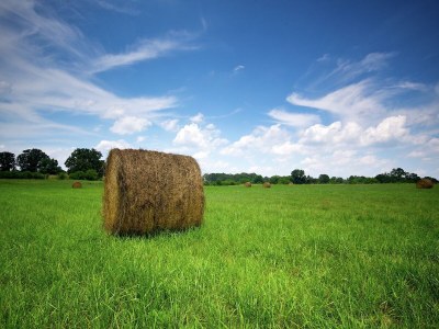 Holiday house Holiday Home Vagney near Ski Gérardmer - Outdoor photo 39