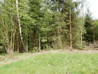 Villa Chalet in La Bresse nahe Skipisten - Outdoor photo 8