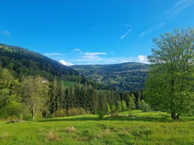 Villa Chalet in La Bresse nahe Skipisten - Environment photo 25