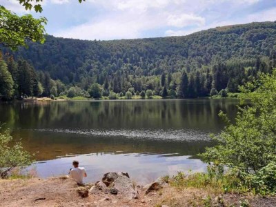 Villa Chalet in La Bresse nahe Skipisten - Environment photo 26