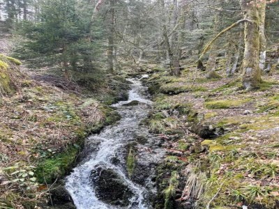 Villa Chalet in La Bresse nahe Skipisten - Environment photo 31