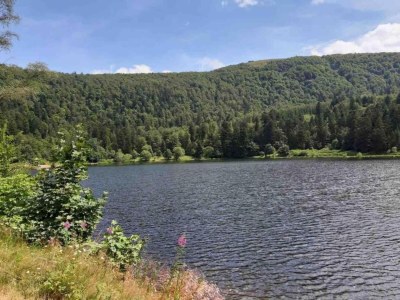 Villa Chalet in La Bresse nahe Skipisten - Environment photo 32