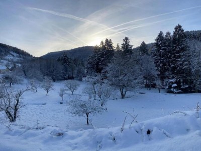 Villa Chalet in La Bresse nahe Skipisten - Environment photo 34