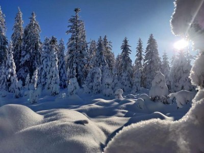 Villa Chalet in La Bresse nahe Skipisten - Environment photo 35