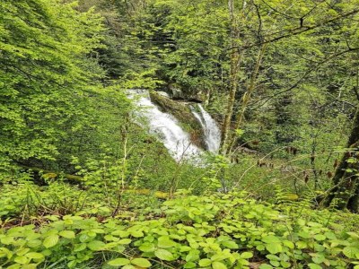 Villa Chalet in La Bresse nahe Skipisten - Environment photo 45