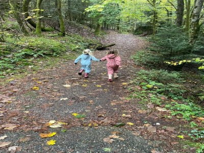 Villa Chalet in La Bresse nahe Skipisten - Environment photo 50