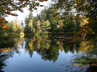 Villa Chalet in La Bresse nahe Skipisten - Environment photo 52