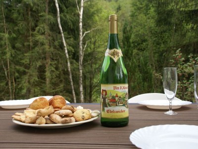 Villa Chalet in La Bresse nahe Skipisten - Outdoor photo 56