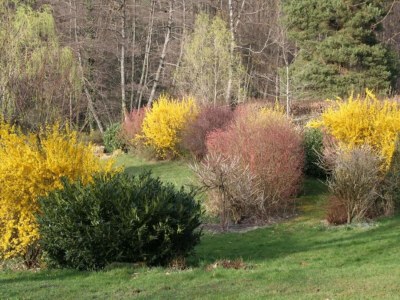 Holiday house Holiday Home in La Chapelle with Garden - Environment photo 29