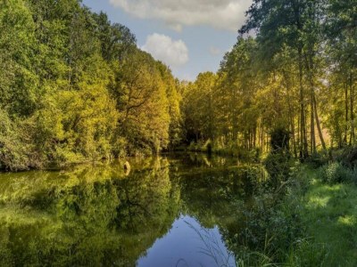 Holiday house Holiday Home in La Chapelle with Garden - Environment photo 30