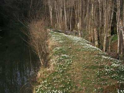 Holiday house Holiday Home in La Chapelle with Garden - Environment photo 33