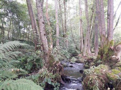 Holiday house Holiday Home in La Chapelle with Garden - Environment photo 35