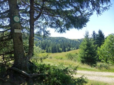 Chalet Chalet in La Bresse nahe Wald & See - Environment photo 29